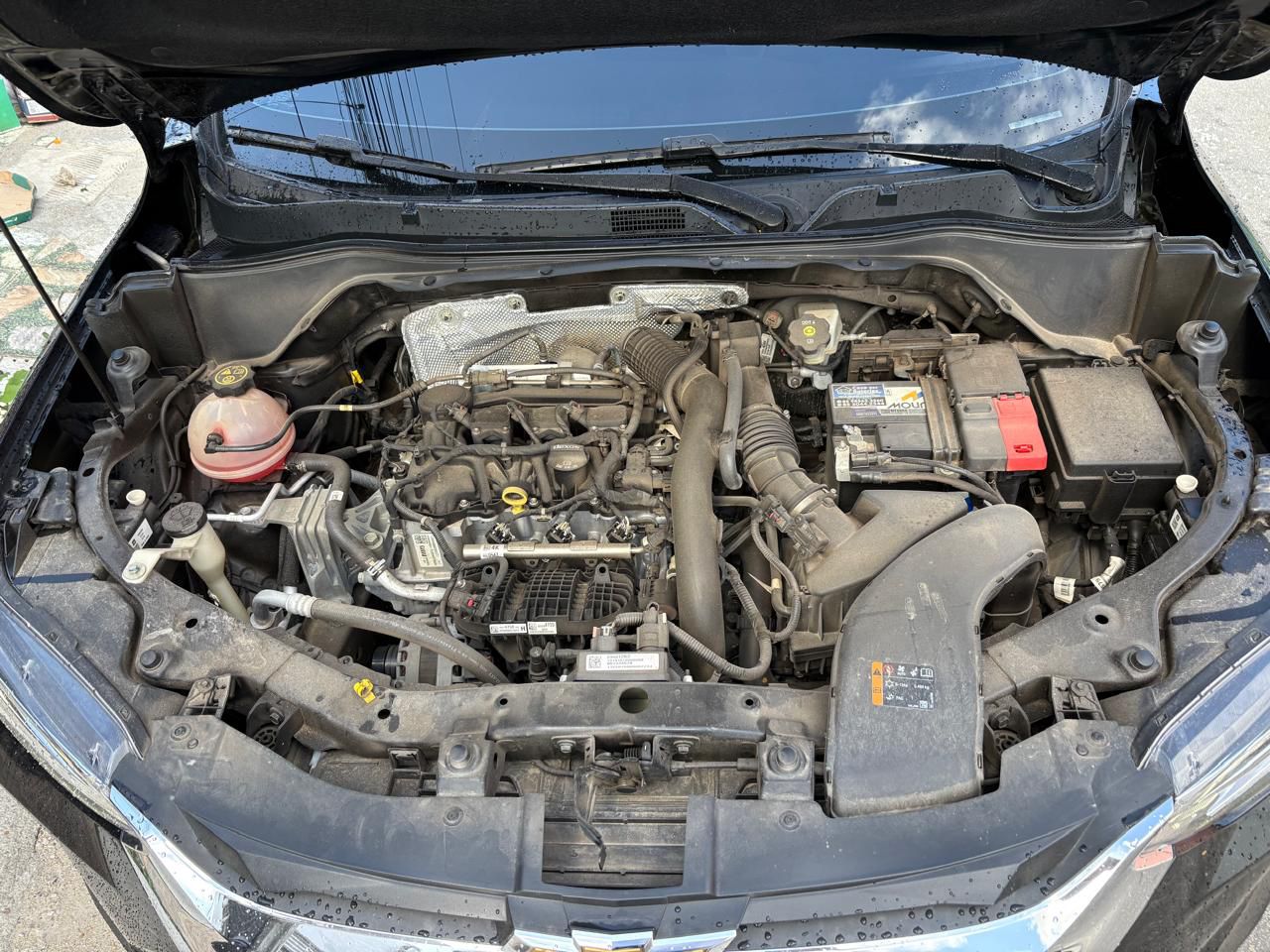 WhatsApp Image 2025-11-24 at 15.08.04 (2)